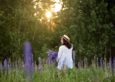 Lupin Seed; Eye Serum Essential